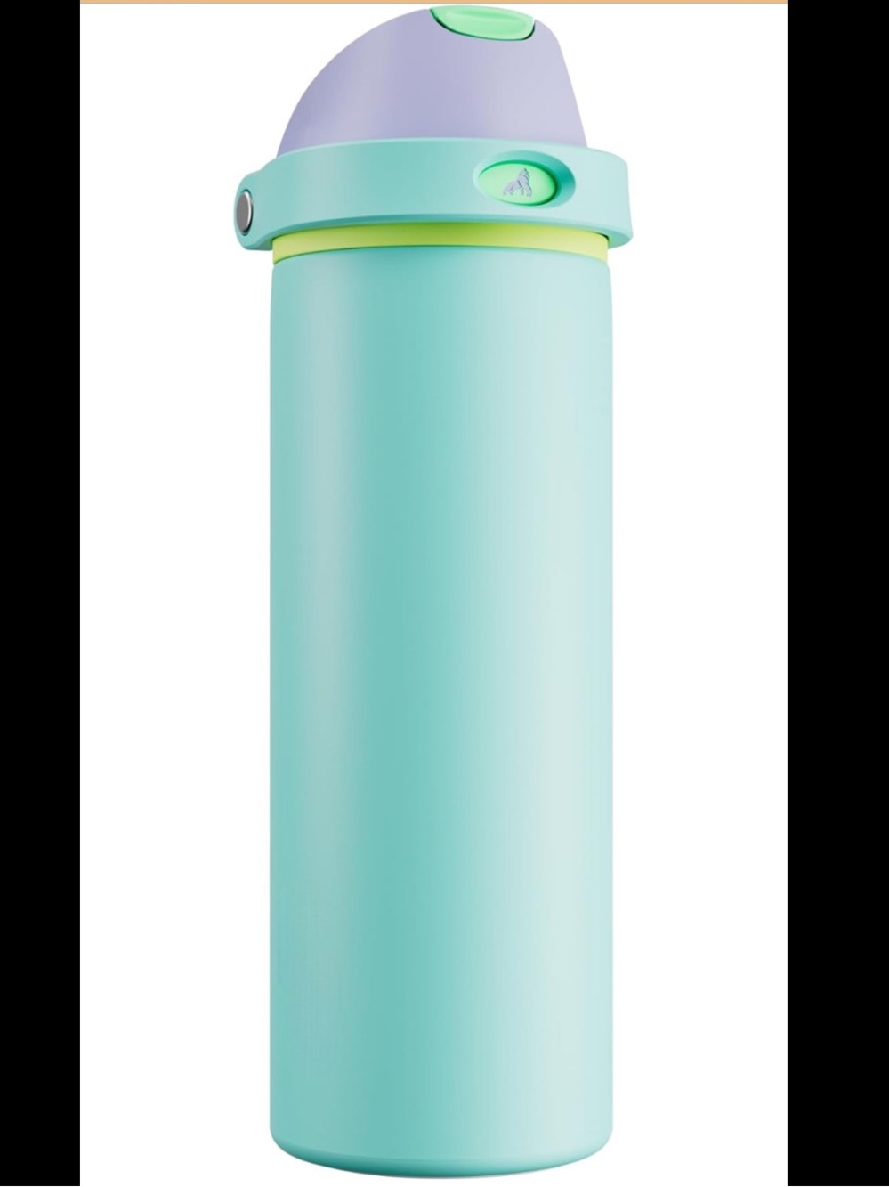 24 oz Stainless Steel Water Bottle